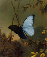 Heade, Martin Johnson